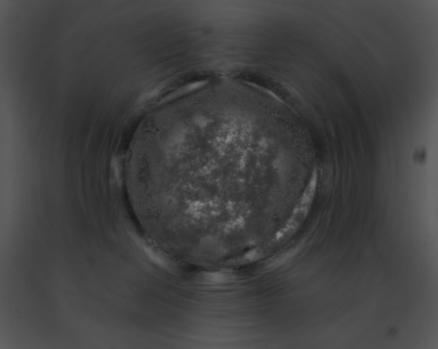 X0000091360286200708311511