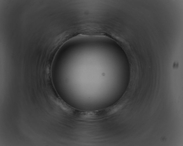 X0000091360288200708311511
