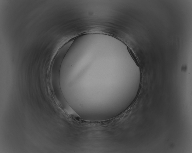 X0000091360289200708311510