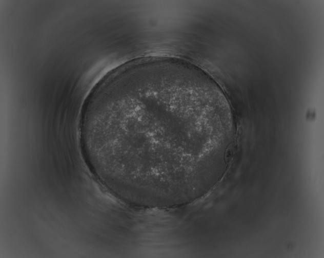 X0000091360290200708311510