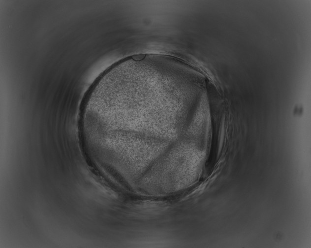 X0000091360292200708311510