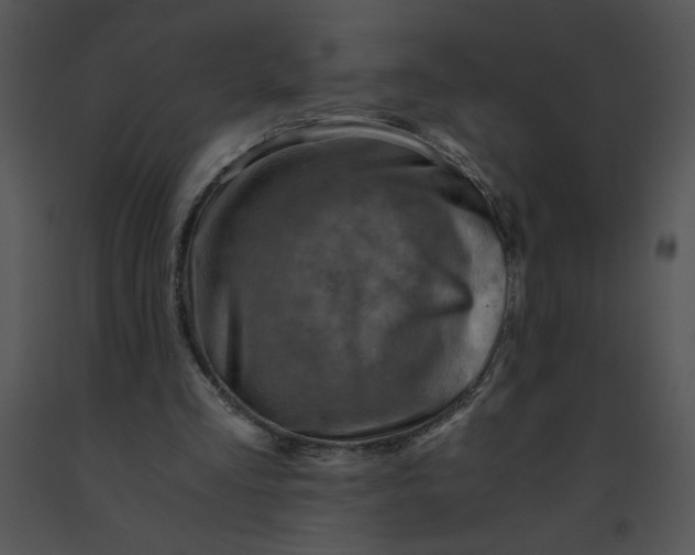 X0000091360293200708311510