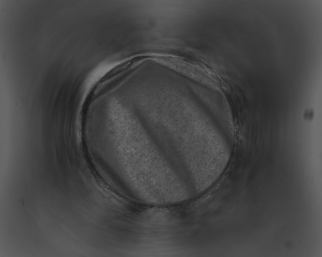 X0000091360294200708311510