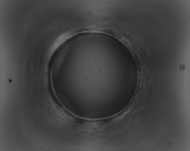 X0000091360295200708311510
