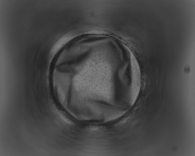 X0000091360296200708311510