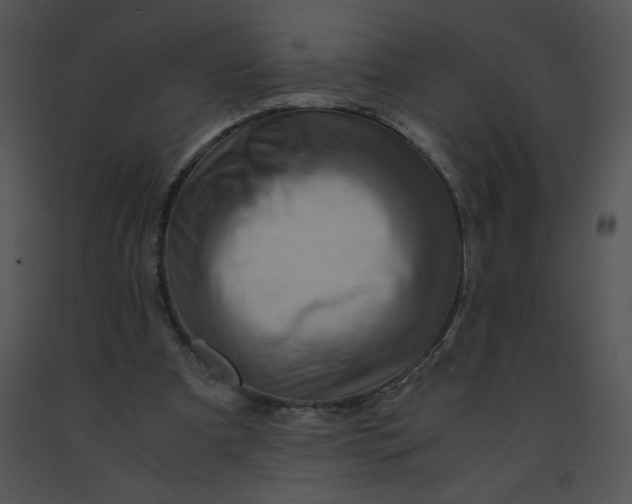 X0000091360297200708311510