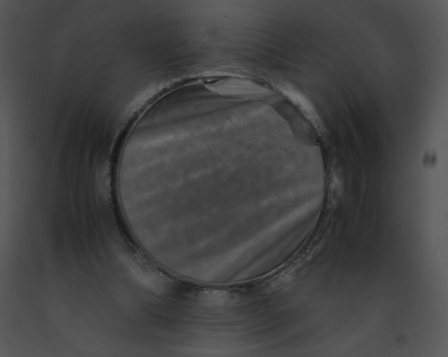 X0000091360298200708311510