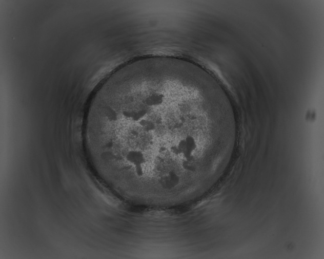 X0000091360299200708311510