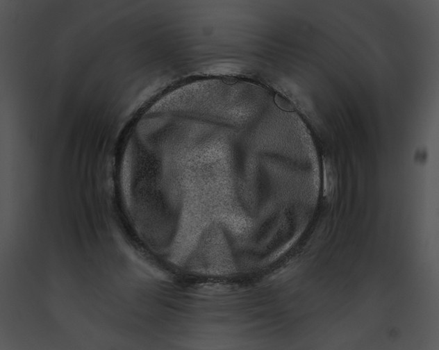 X0000091360300200708311510