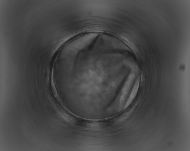 X0000091360301200708311510