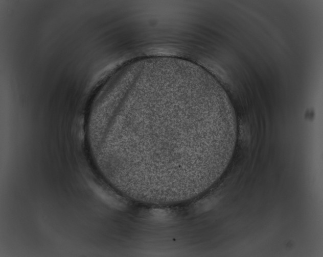 X0000091360302200708311510