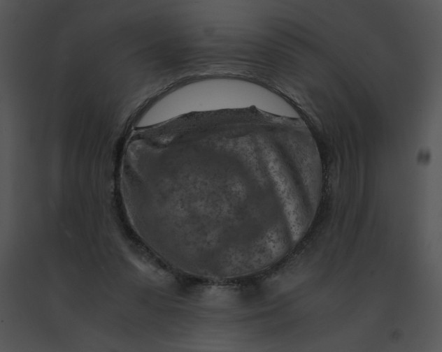 X0000091360303200708311510