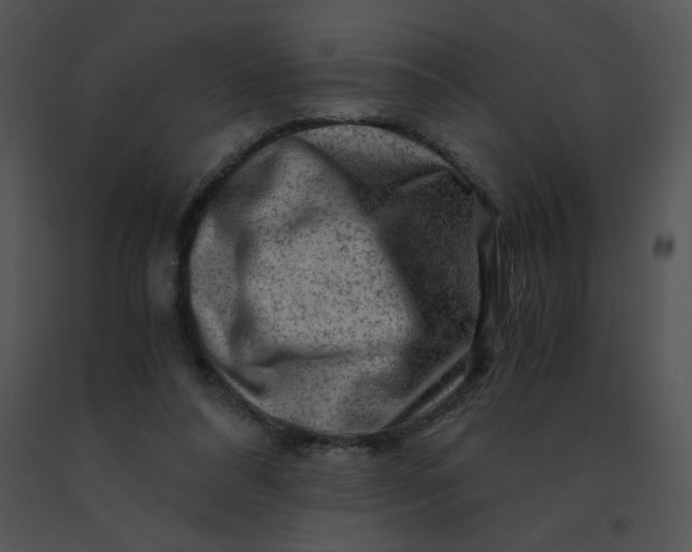X0000091360304200708311510