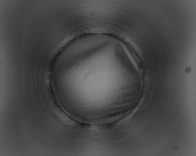X0000091360305200708311510