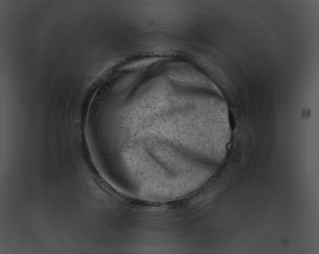 X0000091360306200708311510