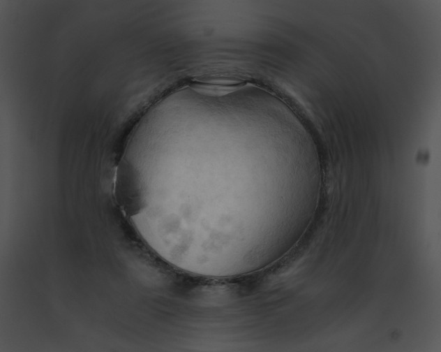 X0000091360307200708311510