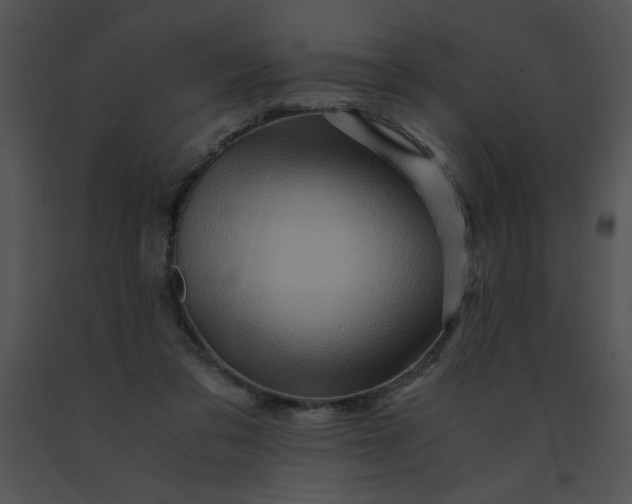 X0000091360309200708311510