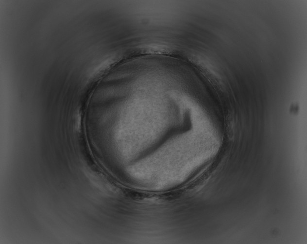 X0000091360310200708311510