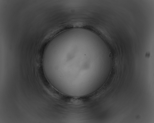 X0000091360311200708311510