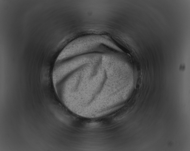 X0000091360312200708311510