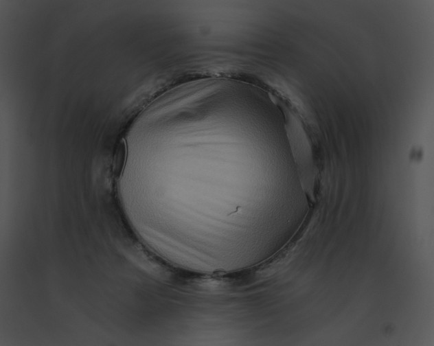X0000091360313200708311510