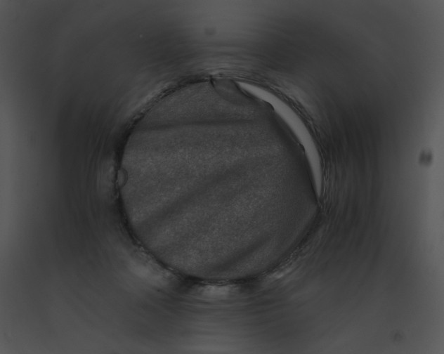 X0000091360314200708311510