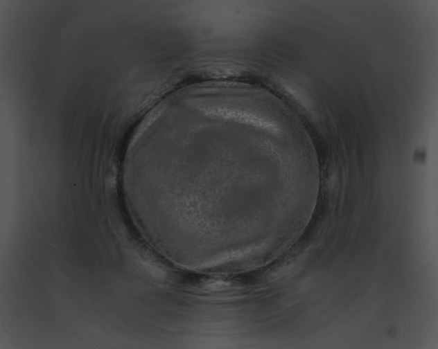 X0000091360315200708311510