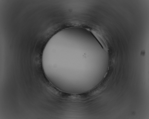 X0000091360317200708311510