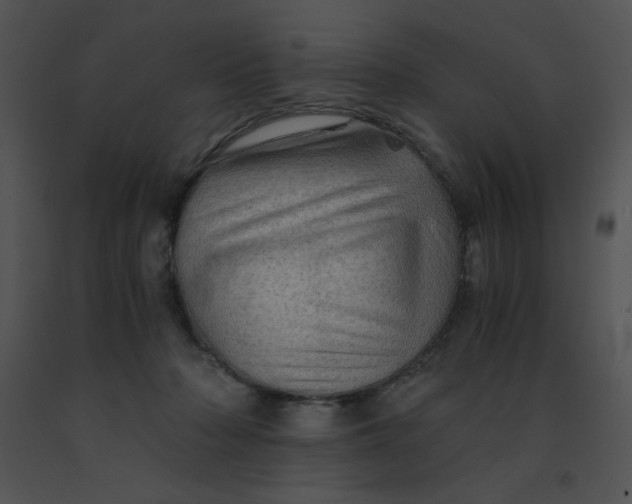 X0000091360318200708311510
