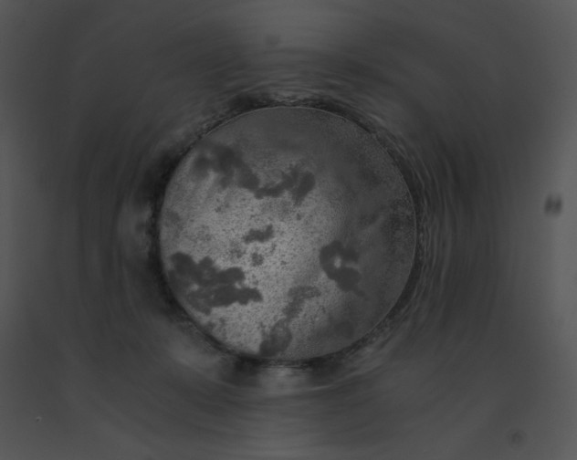 X0000091360319200708311510