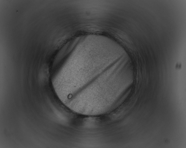 X0000091360320200708311510