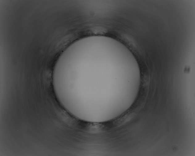 X0000091360321200708311510