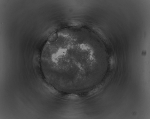 X0000091360322200708311510