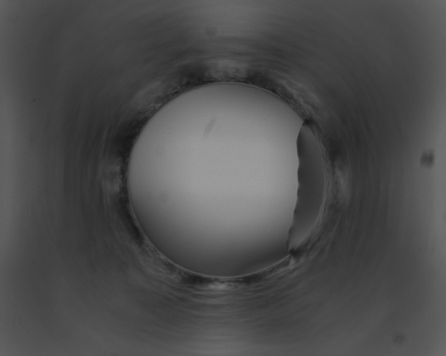 X0000091360323200708311510