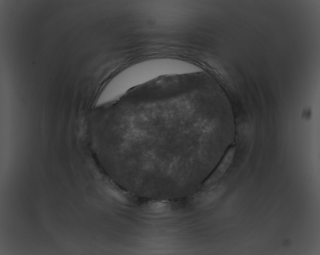X0000091360325200708311510