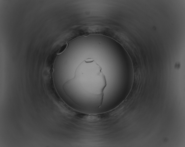 X0000091360327200708311510