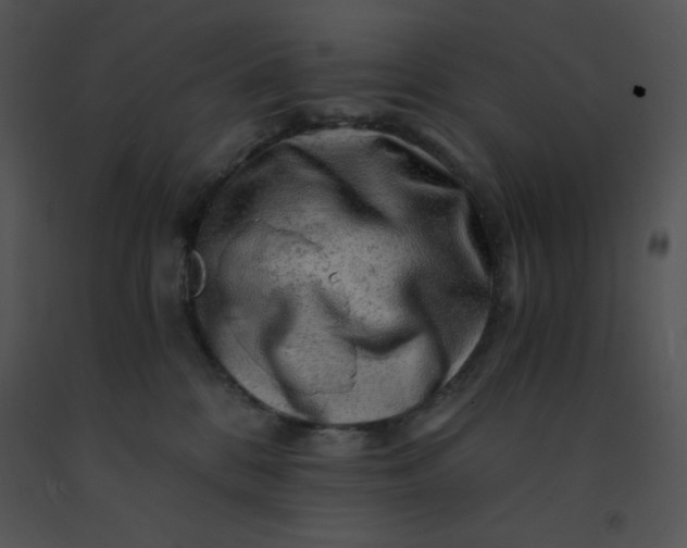 X0000091360328200708311510