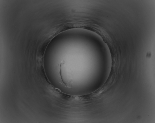 X0000091360329200708311510