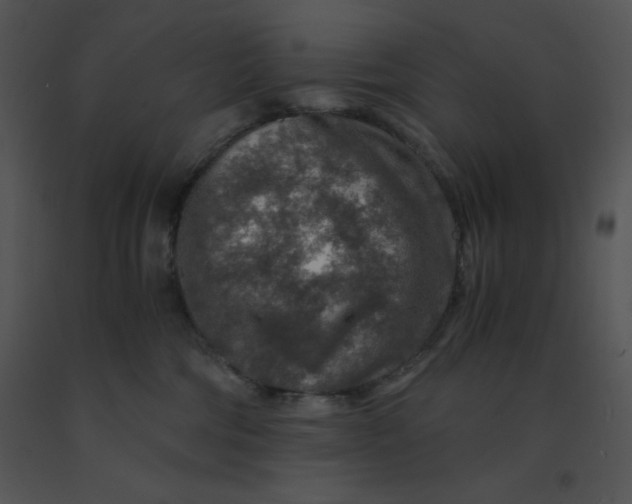 X0000091360330200708311510