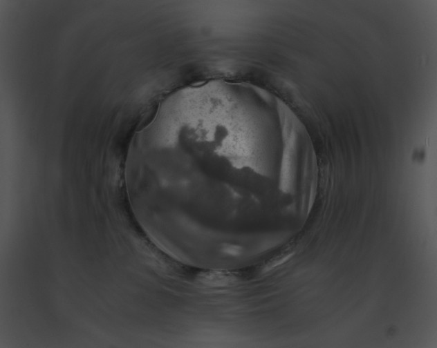 X0000091360331200708311510