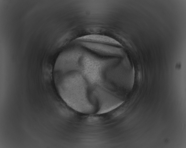 X0000091360332200708311510