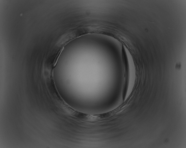 X0000091360333200708311510