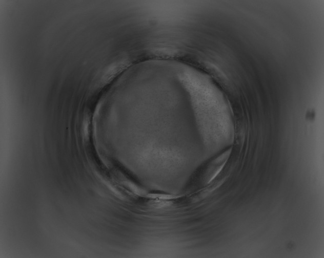 X0000091360334200708311510