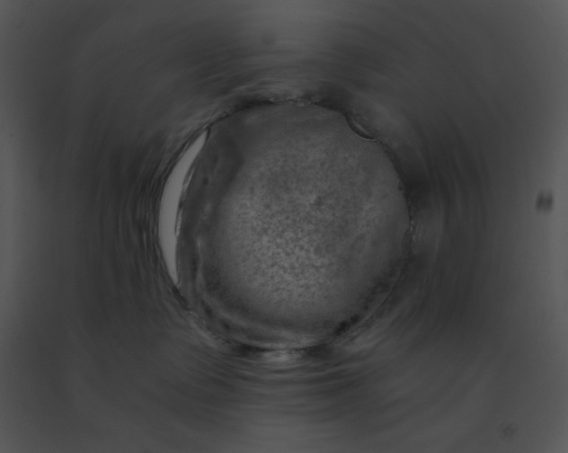 X0000091360335200708311510