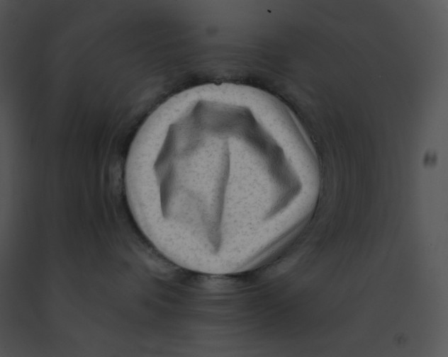 X0000091360336200708311510