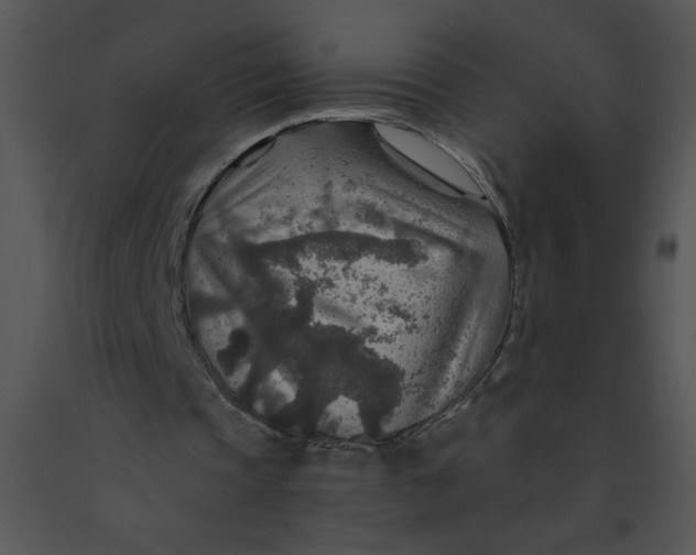 X0000091360337200708311509