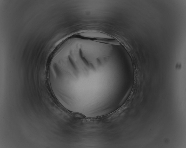 X0000091360338200708311509