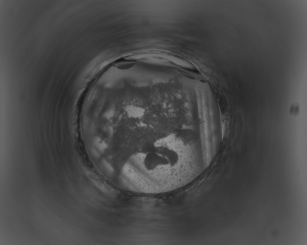 X0000091360339200708311509