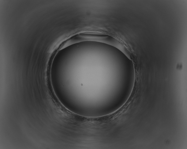 X0000091360340200708311509