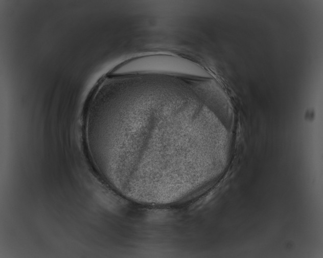 X0000091360342200708311509